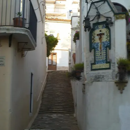 Sant Joan Rentcb 102 *